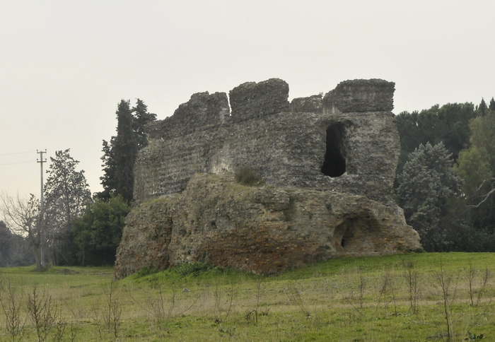 Altra pianta dal Parco della Caffarella - Marrubium vulgare